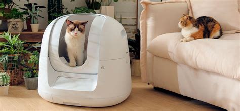 electric kitty litter box reviews|best electronic cat litter box.